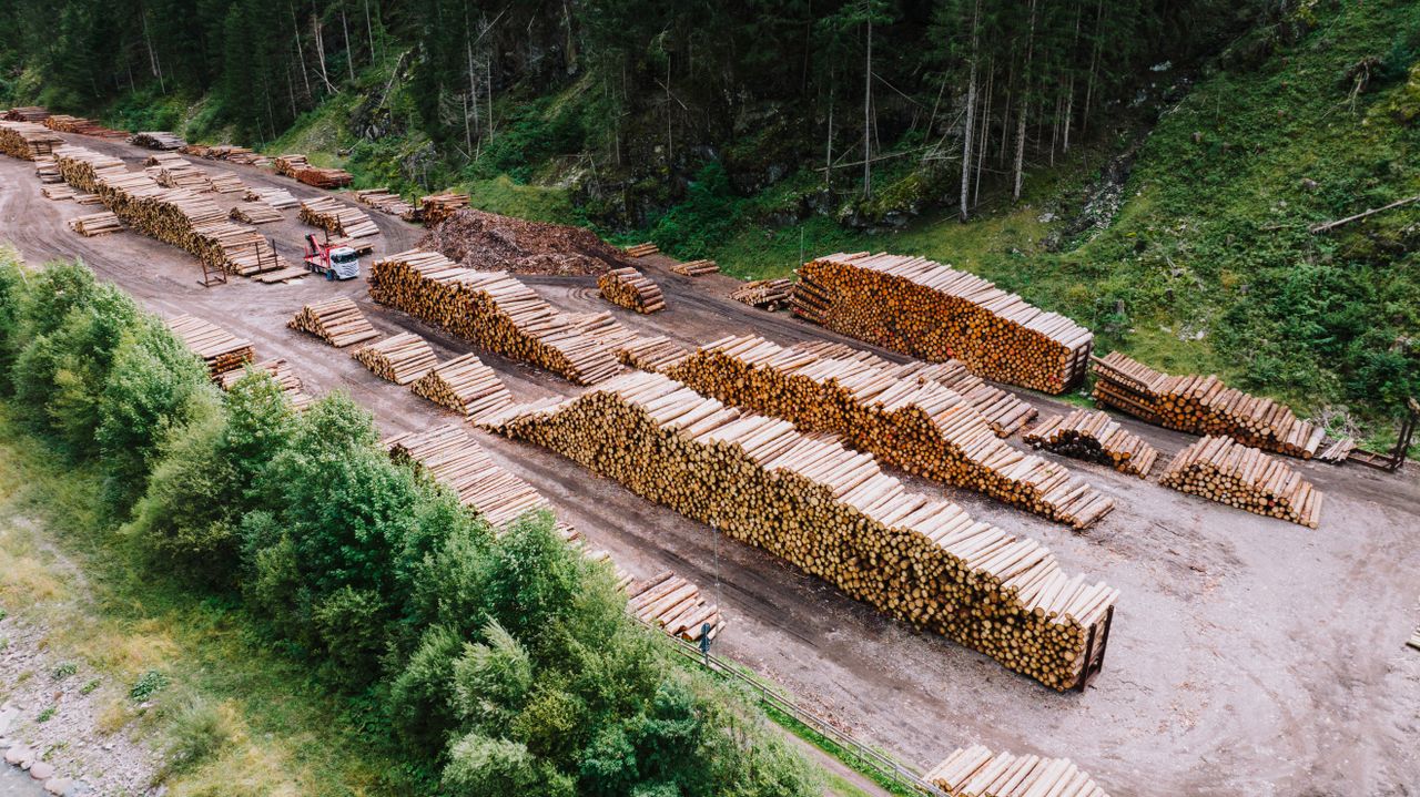 Crafting Captivating Headlines: Your awesome post title goes here Aerial shot of a timber yard with stacked logs surrounded by dense forest greenery.
